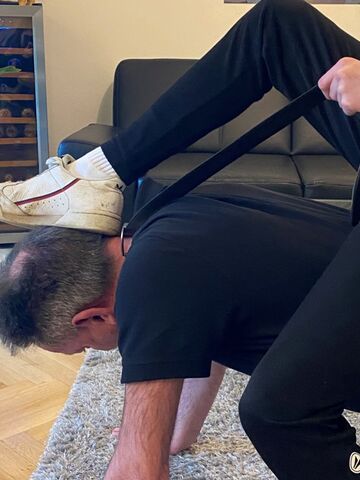 Ponyplay/Dogplay