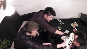 14000-66 Bloedes Vieh